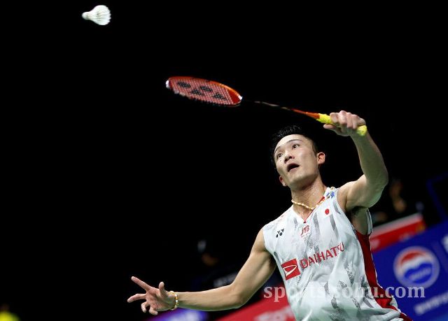 奏和对手特 奏和对手特