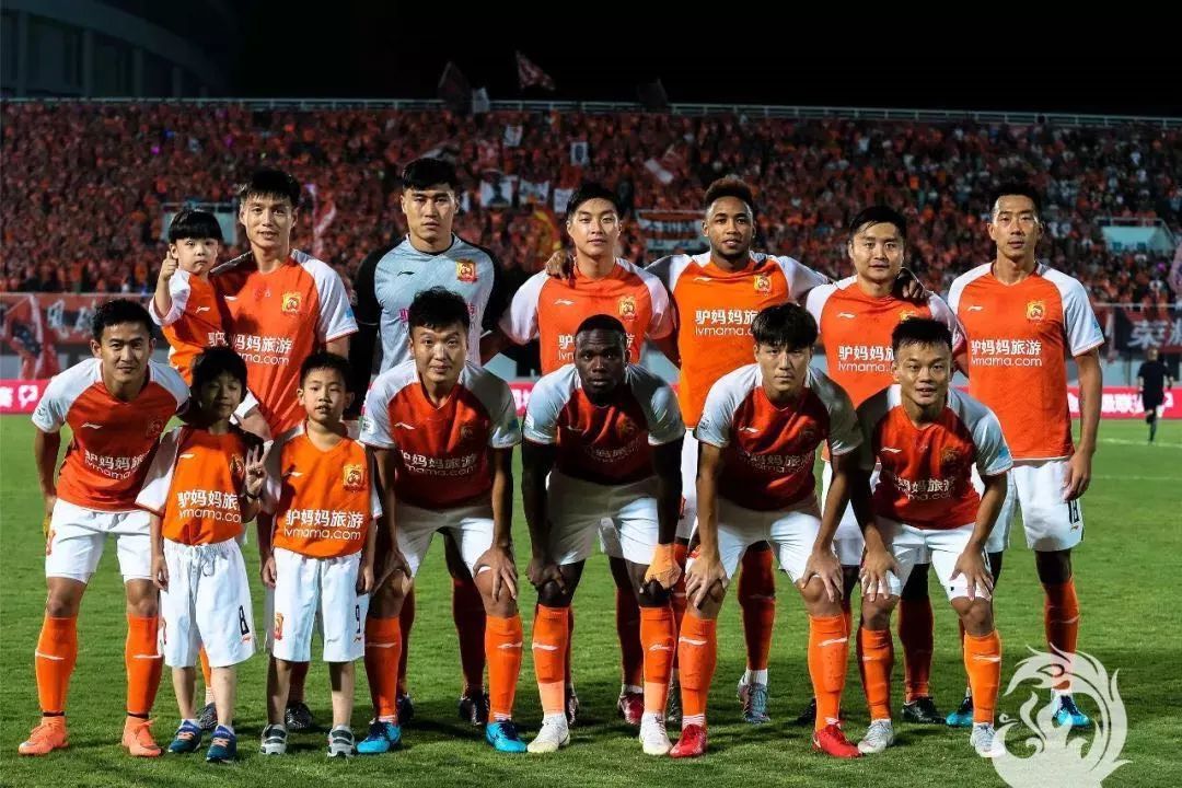 样性现象 样性现象